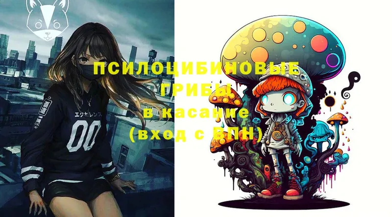 продажа наркотиков  Барабинск  Галлюциногенные грибы MAGIC MUSHROOMS 